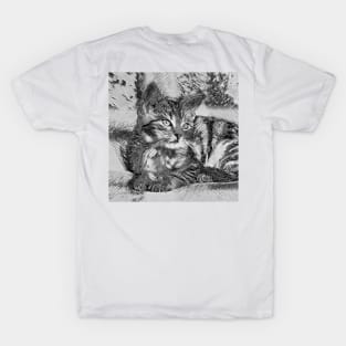 AnimalArtBW Cat 005 T-Shirt